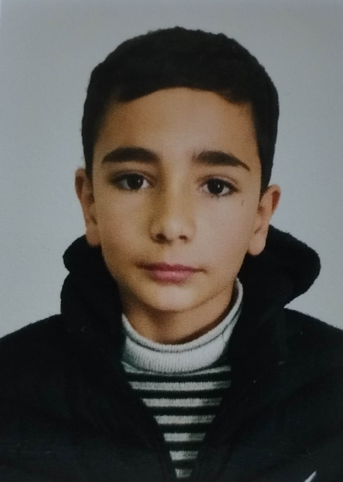 ნიკოლოზ ვერძეული