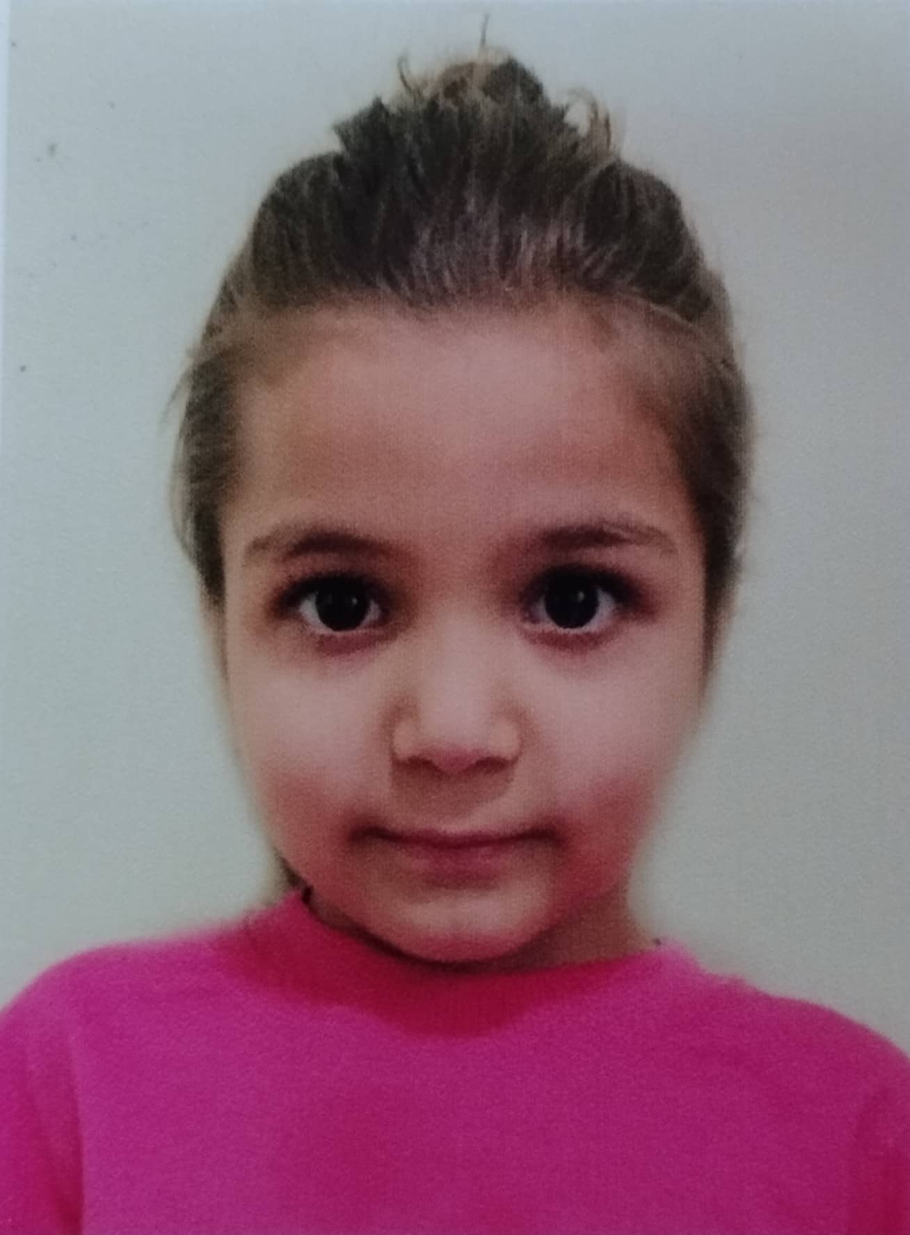 ელისაბედ ძიძიშვილი